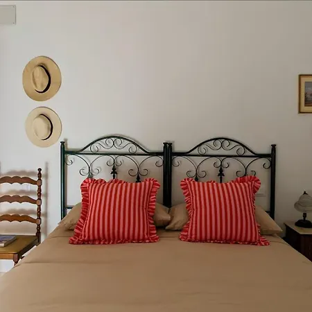 Amoreira Rosa Not Valid * Giovinazzo