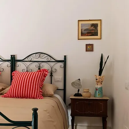 Amoreira Rosa Not Valid