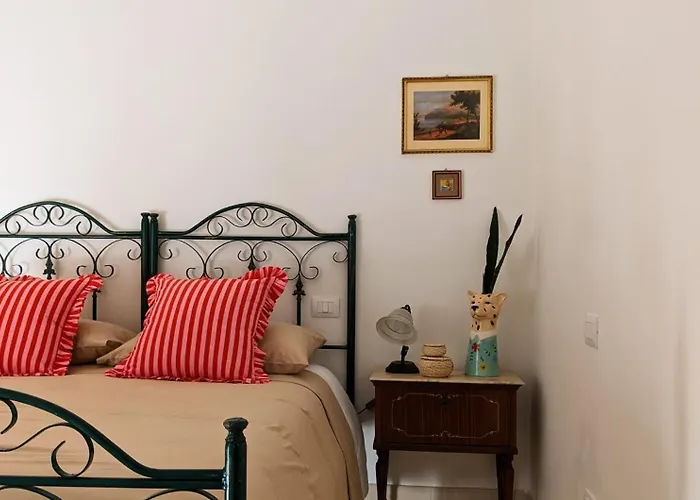 Amoreira Rosa Not Valid