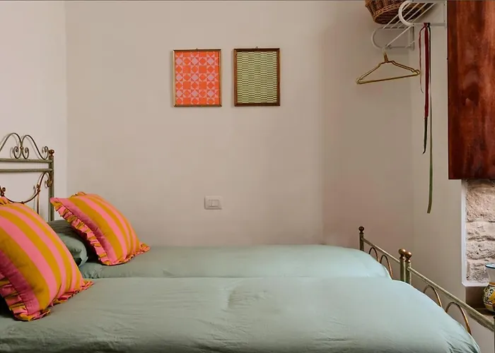 Amoreira Rosa Not Valid *